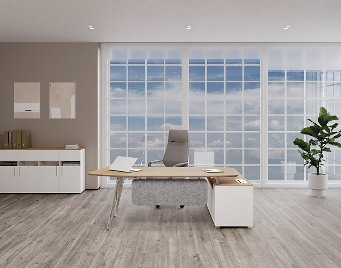 фото Кабинет руководителя Орис					 №2					