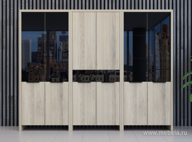 Дверь стеклянная левая 