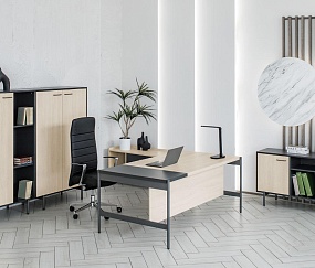 кабинет директора Ринг