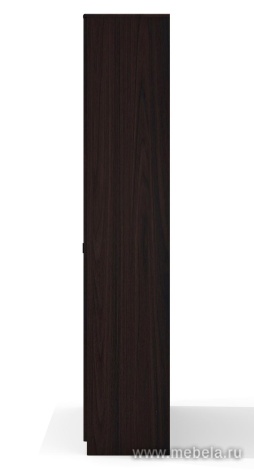 Комбинированный шкаф с гардеробом (задняя стенка - ЛДСП 16 мм)