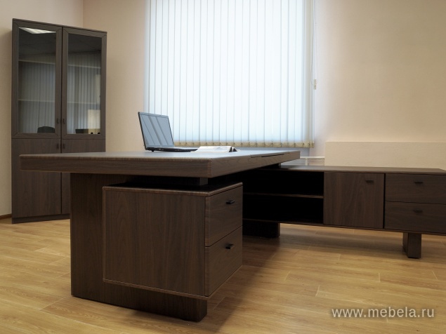 Комбинированный шкаф с гардеробом (задняя стенка ЛДСП 16 мм)