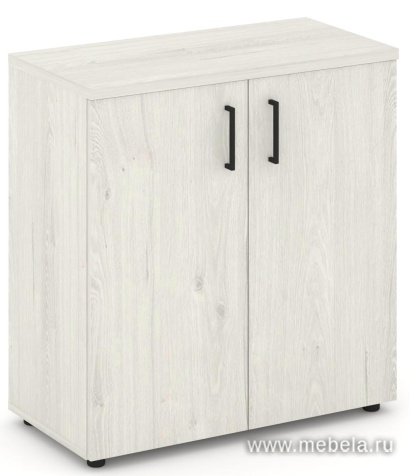 Офисный шкаф низкий широкий (2 низких фасада, задняя стенка ЛДСП)