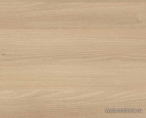 Стол складной мобильный (закругленный)