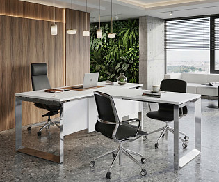 фото кабинет Оникс-О Люкс Белый 