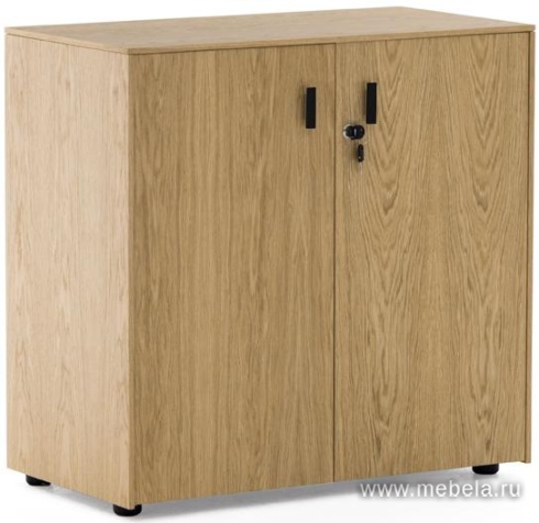 Офисный шкаф низкий