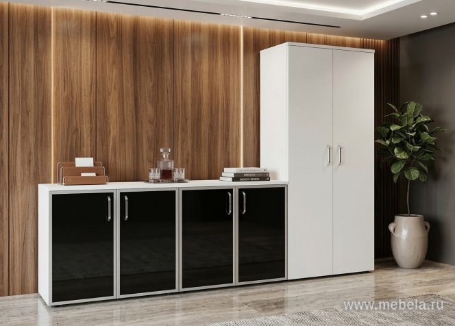 Гардероб комбинированный (выдвижная вешалка)