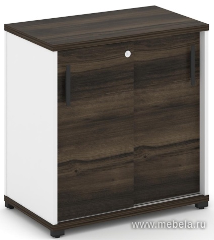 Офисный шкаф-купе опорный/приставной