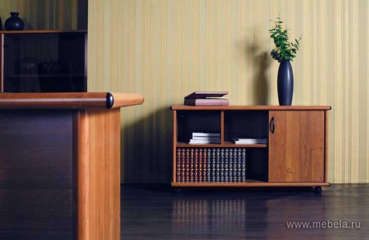 Офисный шкаф низкий узкий глухой