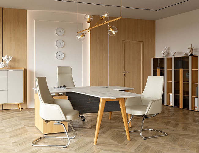 фото кабинет Ремо Белый №5