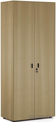 Офисный шкаф для бумаг (чёрный)