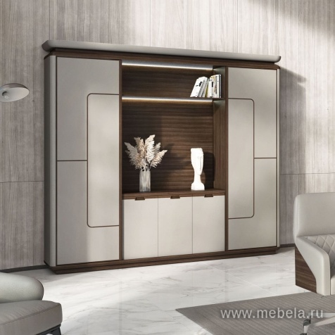 Шкаф с полками и вешалкой для одежды