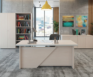 фото кабинет Зум Дуб 