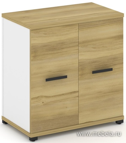 Распашной Офисный шкаф опорный/приставной